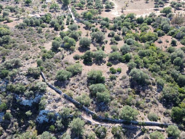 terreno agricolo in vendita a Noto