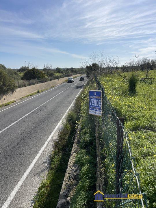 terreno agricolo in vendita a Noto in zona Vendicari