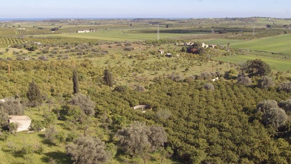 casa indipendente in vendita a Noto in zona San Lorenzo