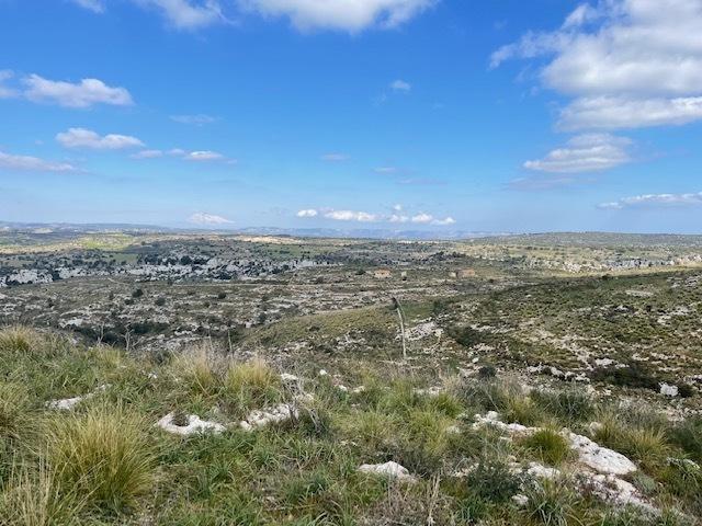 appartamento in affitto a Noto