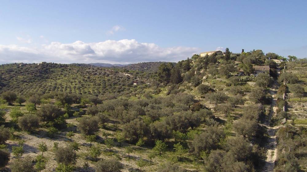 casa indipendente in vendita a Noto in zona Vendicari