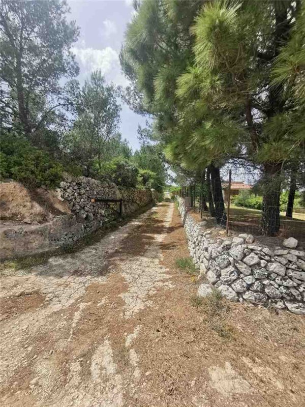 terreno agricolo in vendita a Noto