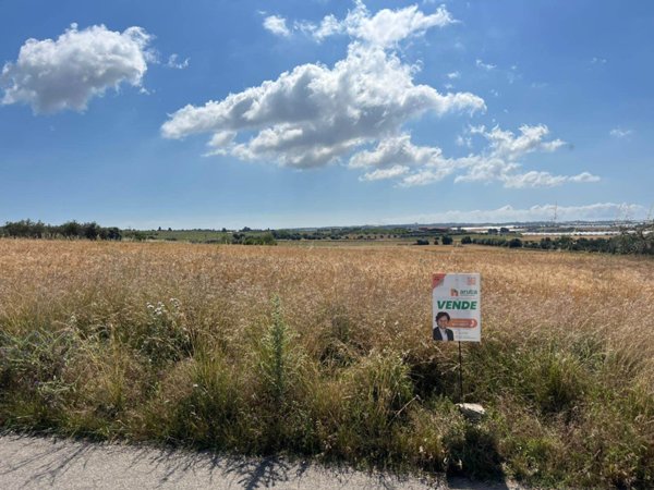 terreno agricolo in vendita a Noto