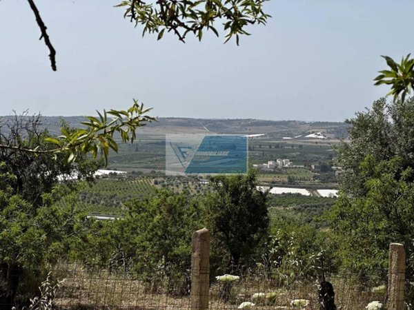 terreno agricolo in vendita a Noto
