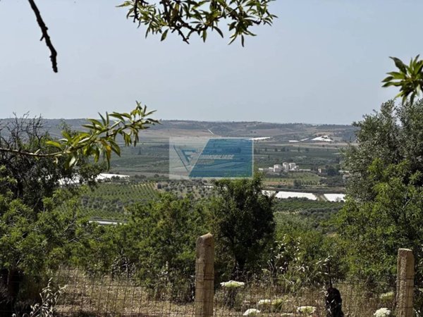terreno agricolo in vendita a Noto