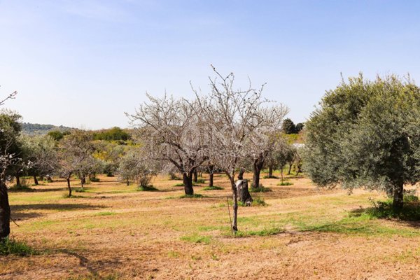 rudere in vendita a Noto