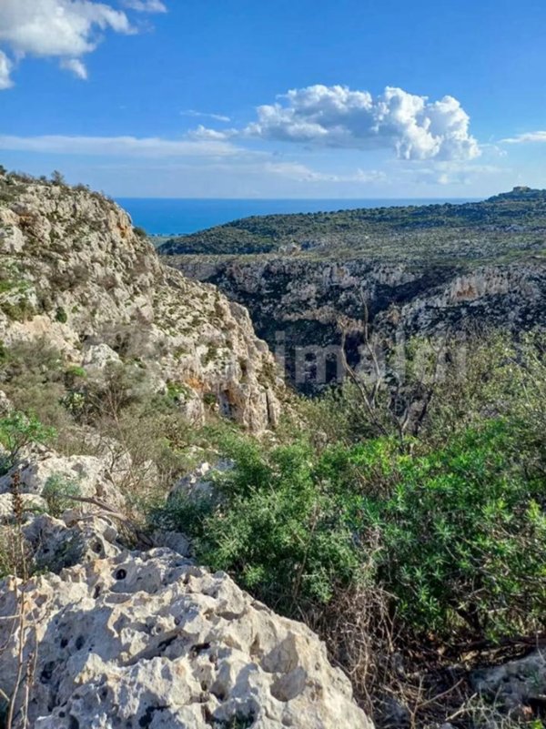terreno agricolo in vendita a Noto