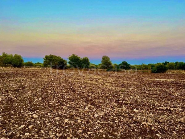 terreno agricolo in vendita a Noto