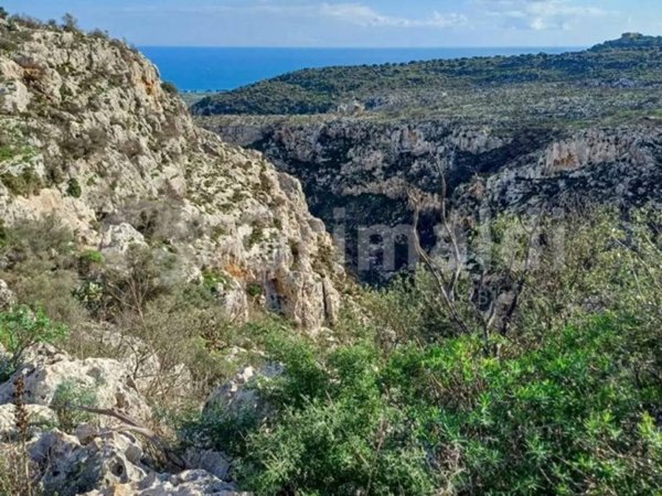 terreno agricolo in vendita a Noto