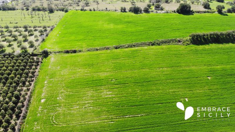 terreno agricolo in vendita a Noto