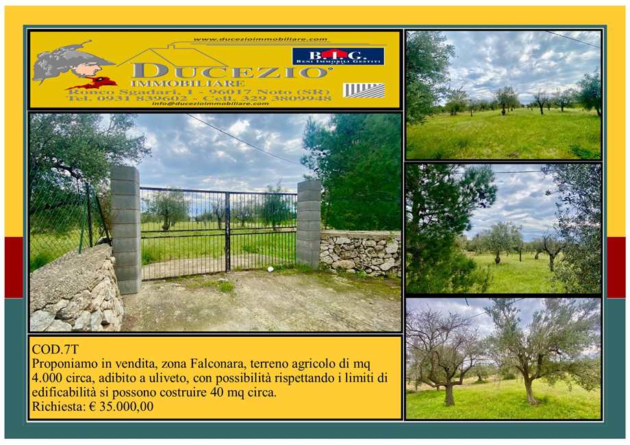 terreno agricolo in vendita a Noto in zona Falconara