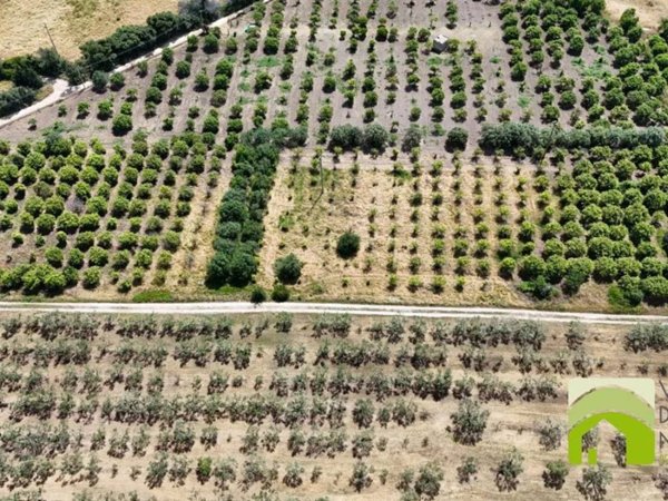 terreno agricolo in vendita a Noto in zona Vendicari