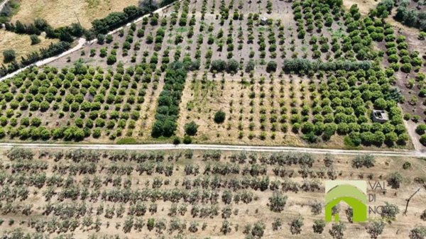 terreno agricolo in vendita a Noto in zona Vendicari