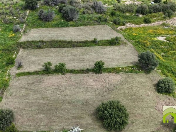 terreno agricolo in vendita a Noto
