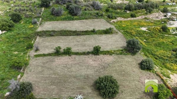 terreno agricolo in vendita a Noto