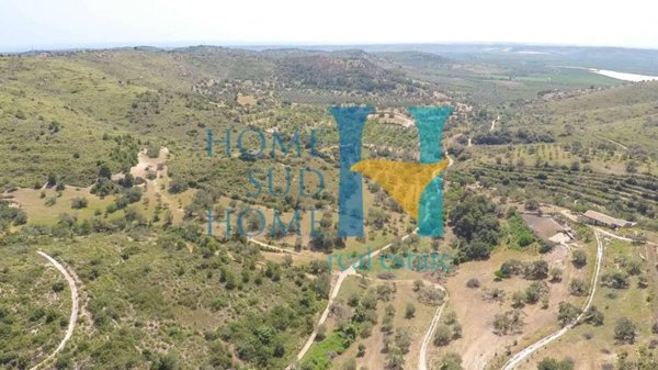 terreno agricolo in vendita a Noto