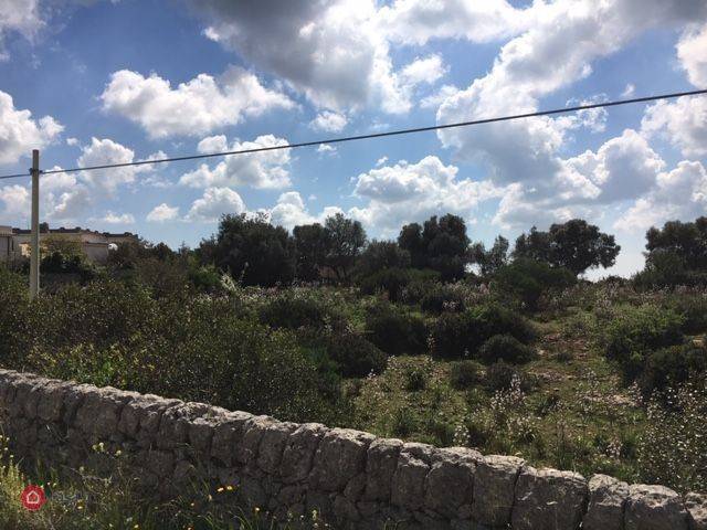 terreno agricolo in vendita a Noto