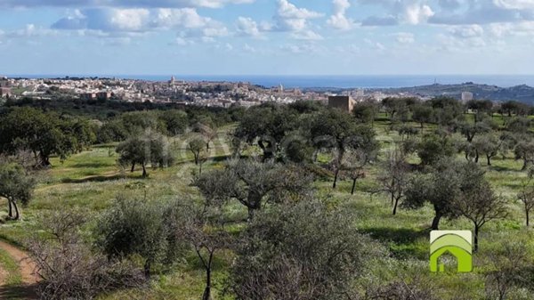 terreno agricolo in vendita a Noto