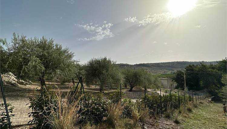terreno agricolo in vendita a Noto