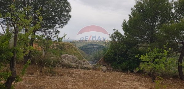 terreno agricolo in vendita a Noto in zona San Corrado di Fuori