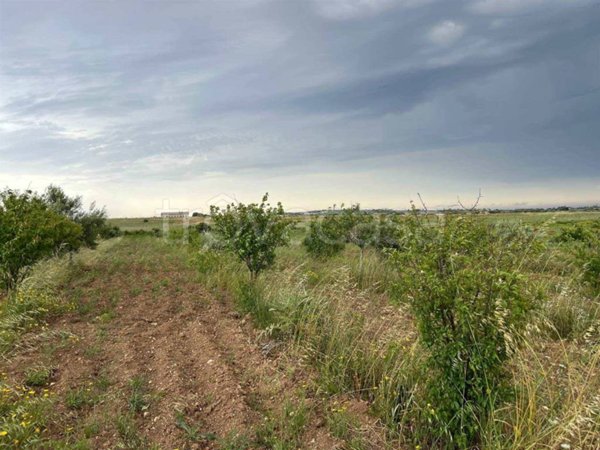 terreno agricolo in vendita a Noto in zona San Lorenzo