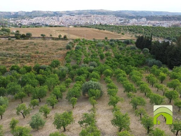 terreno agricolo in vendita a Noto in zona Lido di Noto