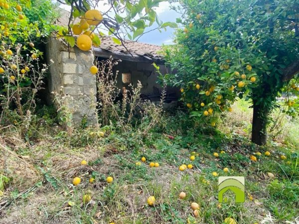 casa indipendente in vendita a Noto