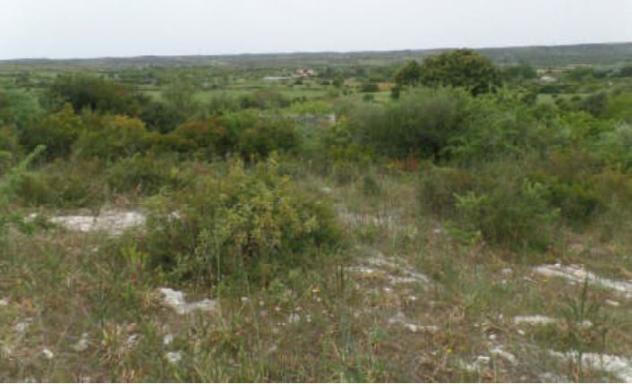 terreno agricolo in vendita a Noto