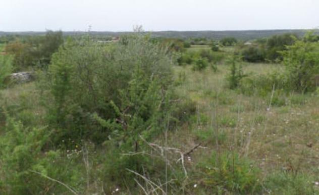 terreno agricolo in vendita a Noto