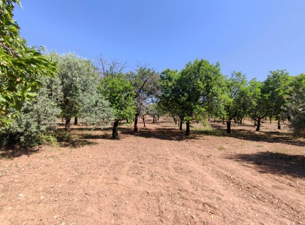 casa indipendente in vendita a Noto