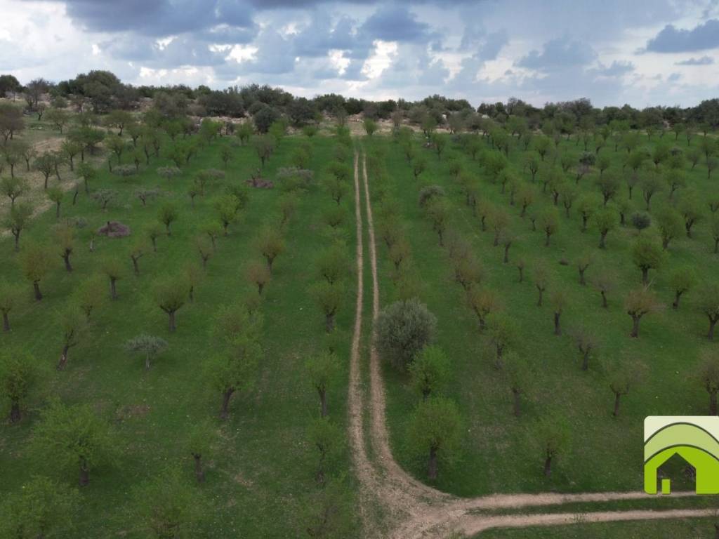 casa indipendente in vendita a Noto