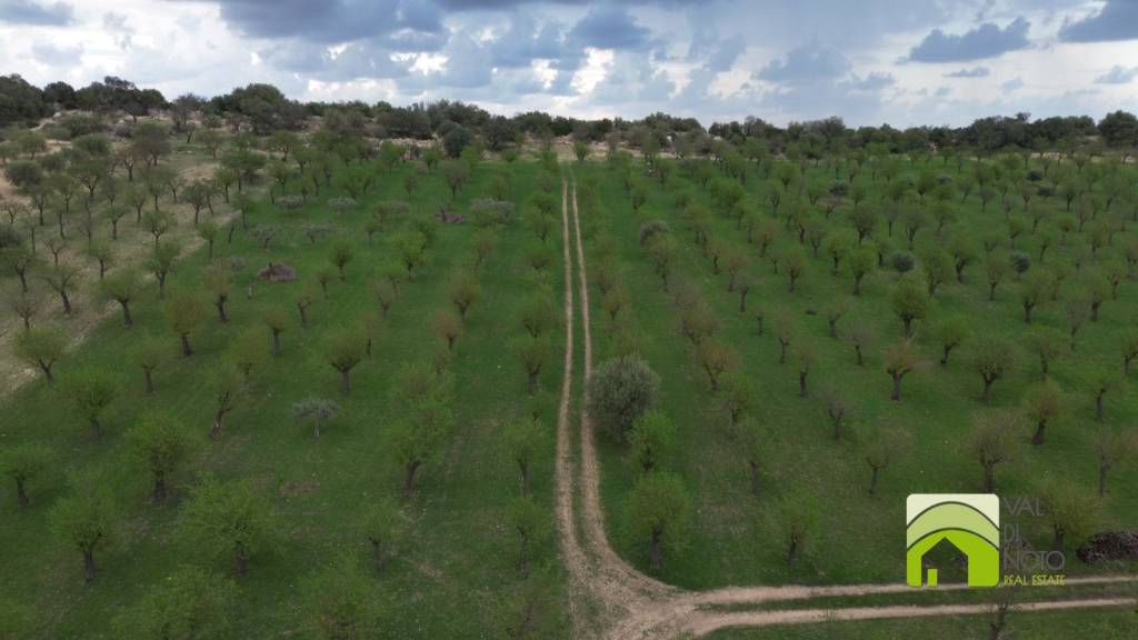 casa indipendente in vendita a Noto