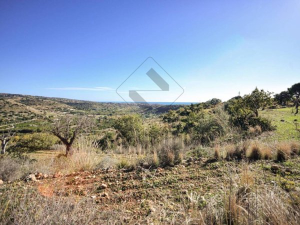 terreno agricolo in vendita a Noto