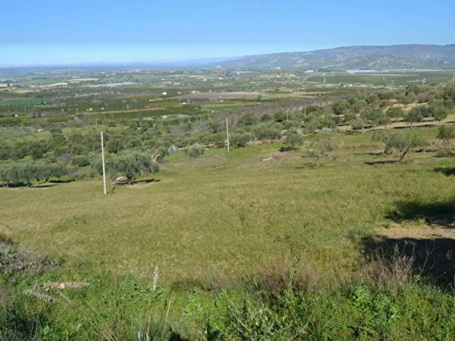 terreno agricolo in vendita a Noto