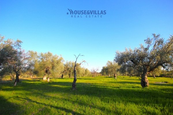 terreno agricolo in vendita a Noto in zona Falconara