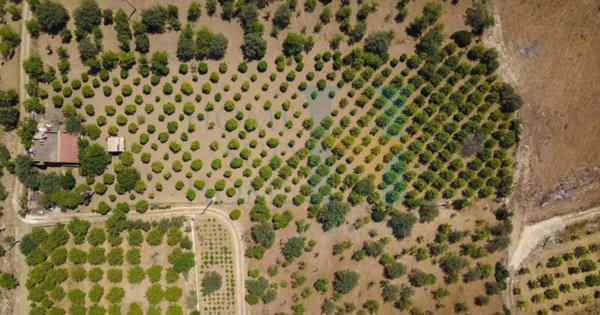 casale in vendita a Noto in zona Vendicari