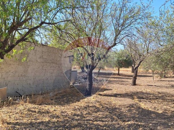 terreno agricolo in vendita a Noto