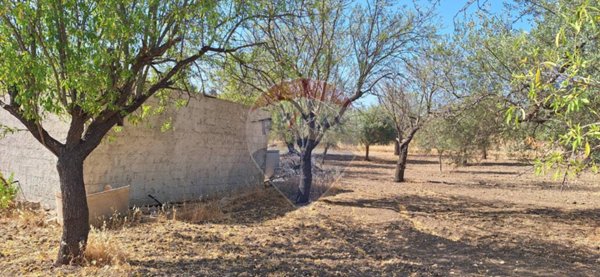 terreno agricolo in vendita a Noto