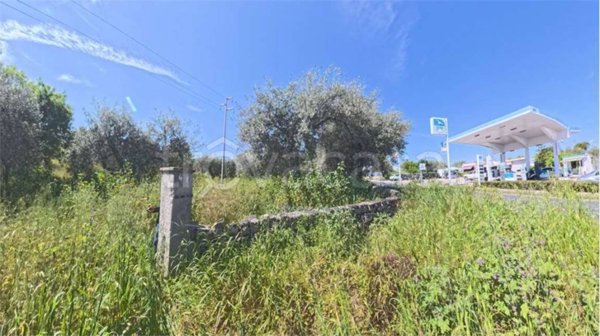 terreno agricolo in vendita a Noto