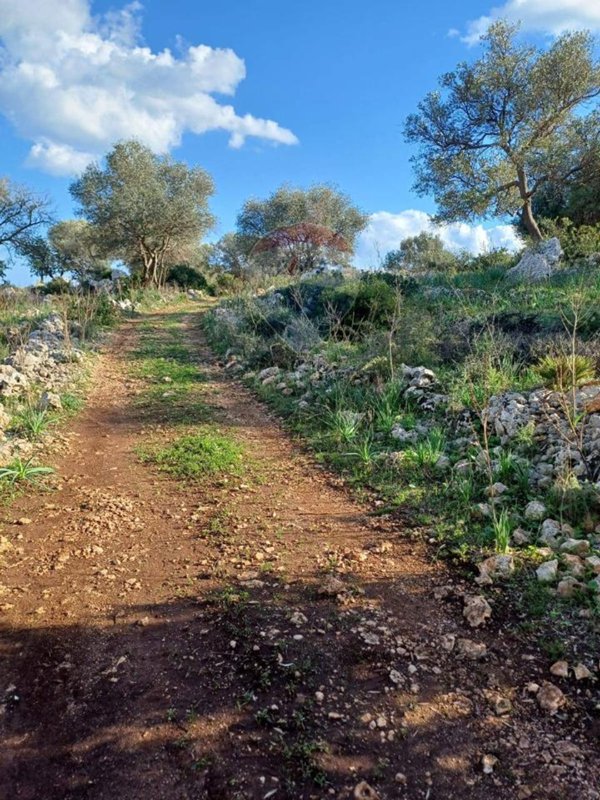 terreno agricolo in vendita a Noto