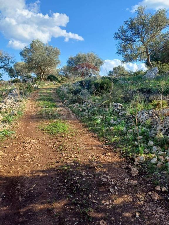 terreno agricolo in vendita a Noto