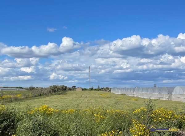 terreno agricolo in vendita a Noto