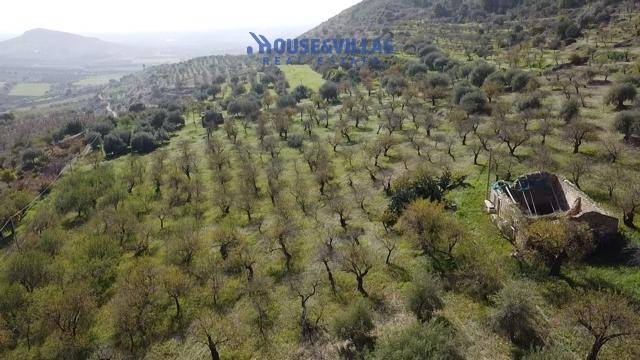 casale in vendita a Noto