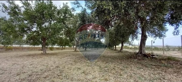 terreno agricolo in vendita a Noto