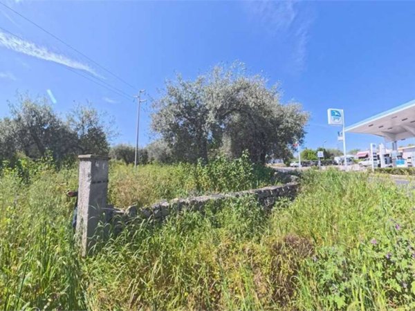 terreno agricolo in vendita a Noto