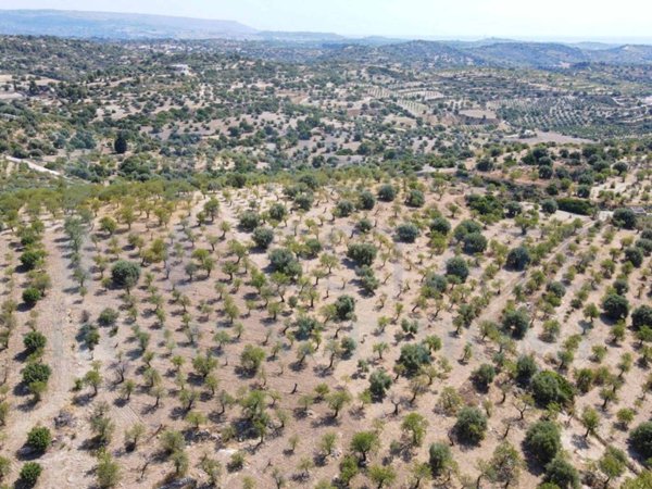 terreno agricolo in vendita a Noto