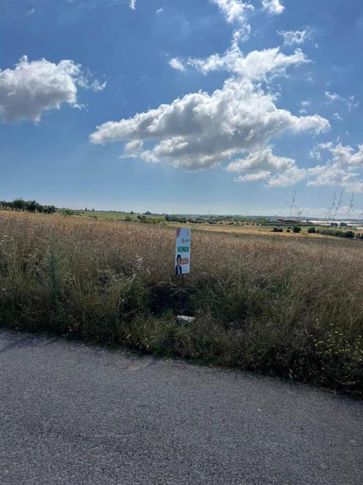 terreno agricolo in vendita a Noto