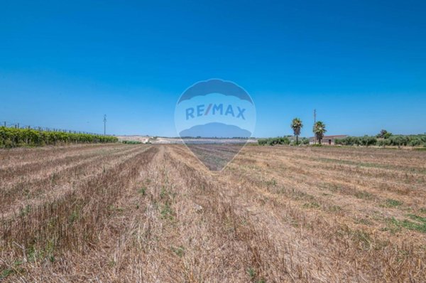 terreno agricolo in vendita a Noto in zona San Lorenzo