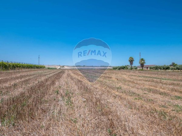 terreno agricolo in vendita a Noto in zona San Lorenzo