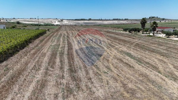 terreno agricolo in vendita a Noto in zona San Lorenzo